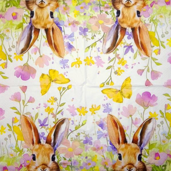 105 Hasen: natürlich - 3-lagig